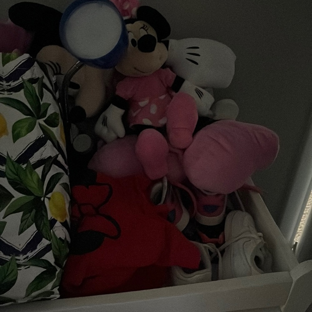 Two Minnie Mouse and two gurls min I mouse sweaters size 3t and 2t